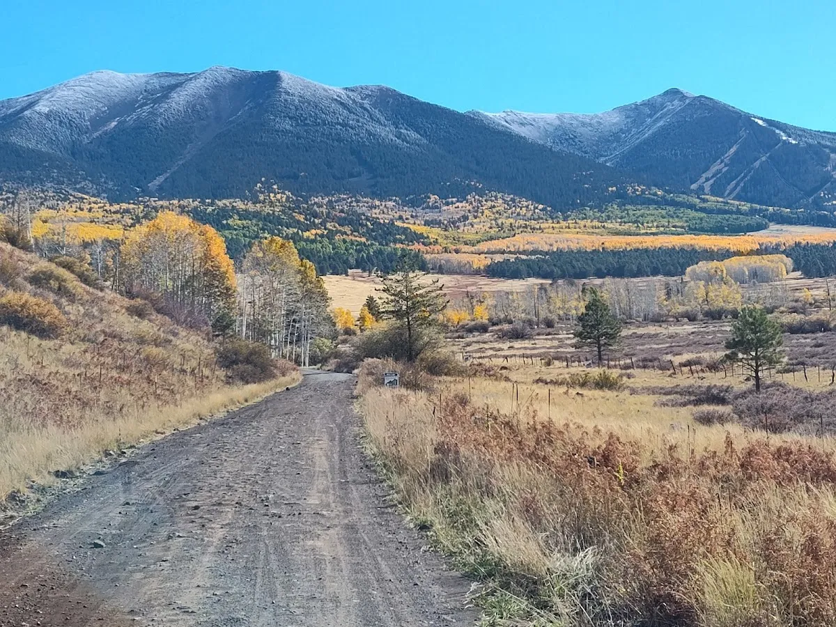 Labor Systems – photo 2