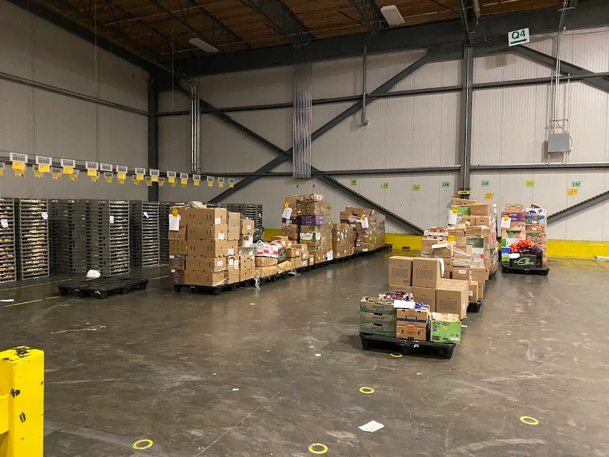 Lacey Train Staffing