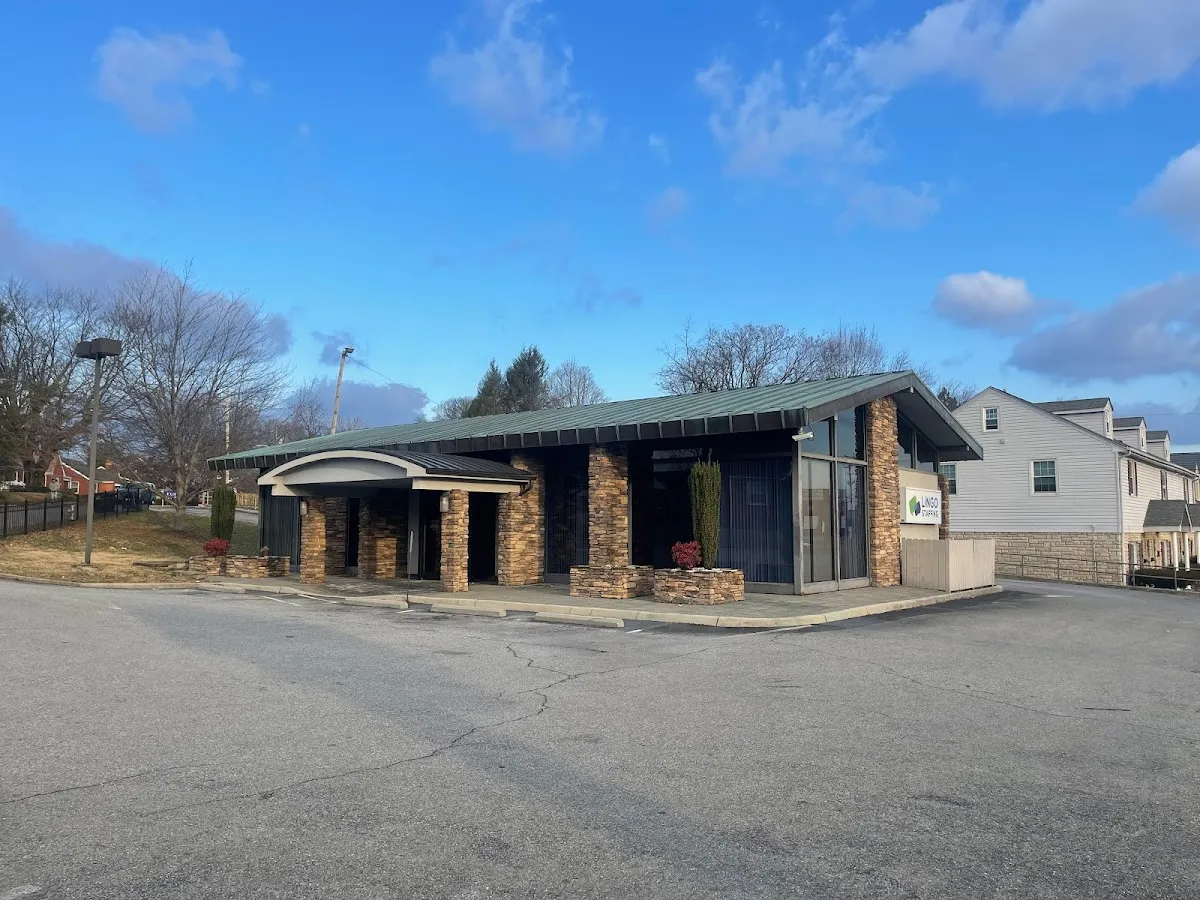 Lingo Staffing, Inc.