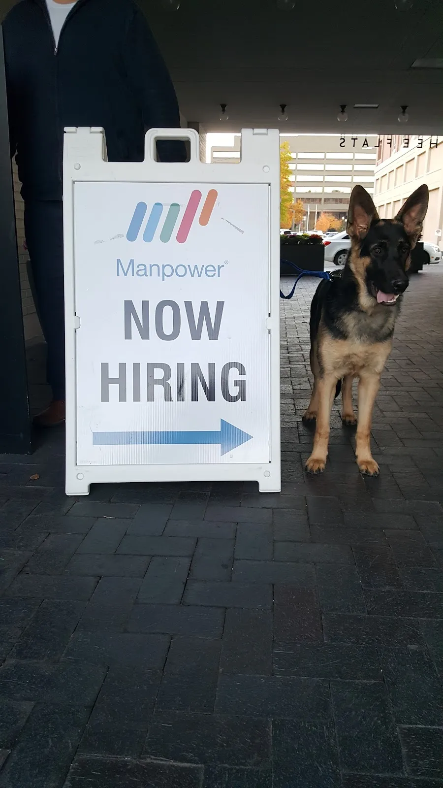 Manpower – photo 2