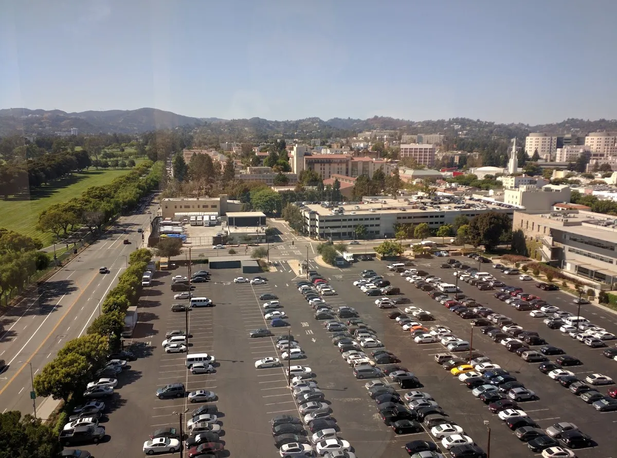 Motion Recruitment – photo 2