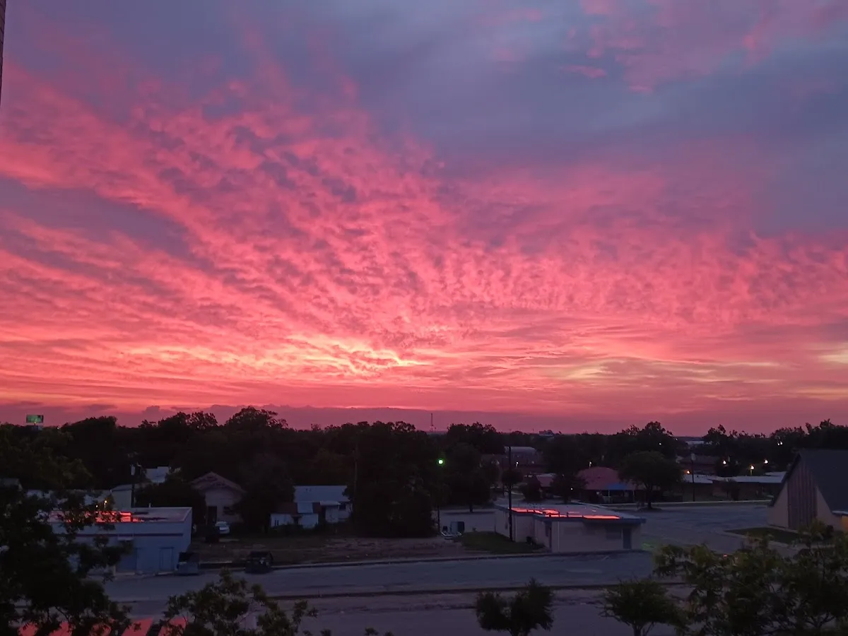 Nan Vaden's Temple Temps