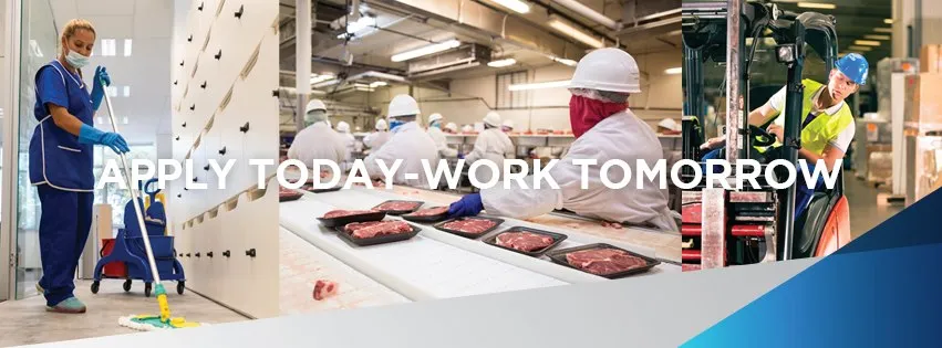 One Stop Employment Services