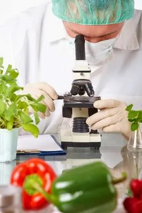 OPUS International Inc