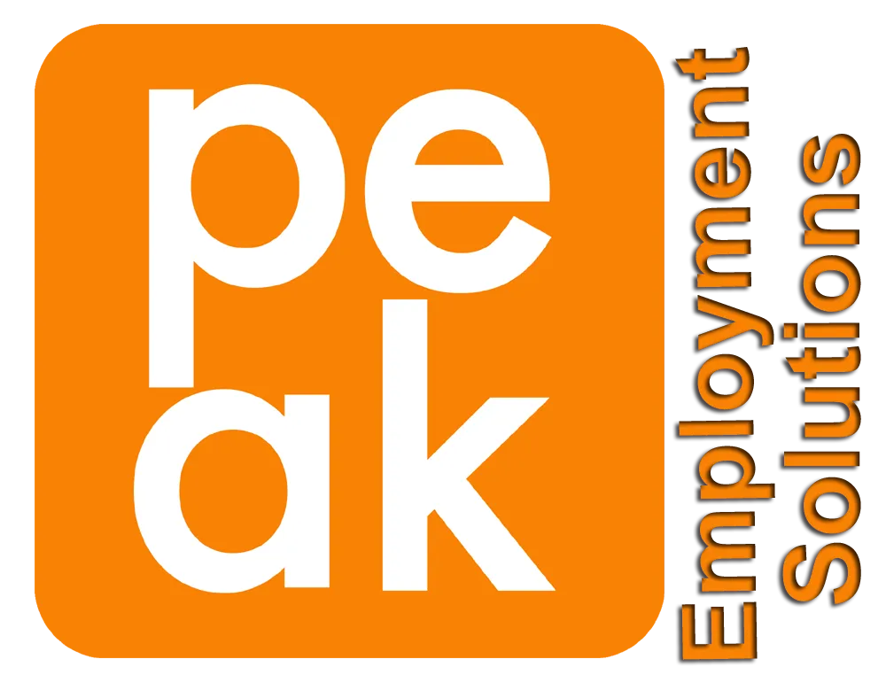 Peak Talent Capital Solutions – photo 3