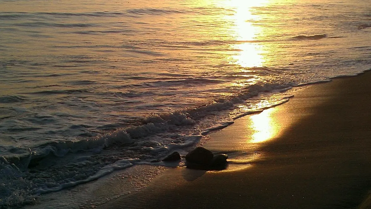 Pirate Staffing – photo 3