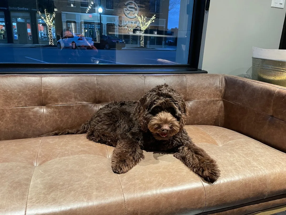 Platinum Recruiting Group – photo 3