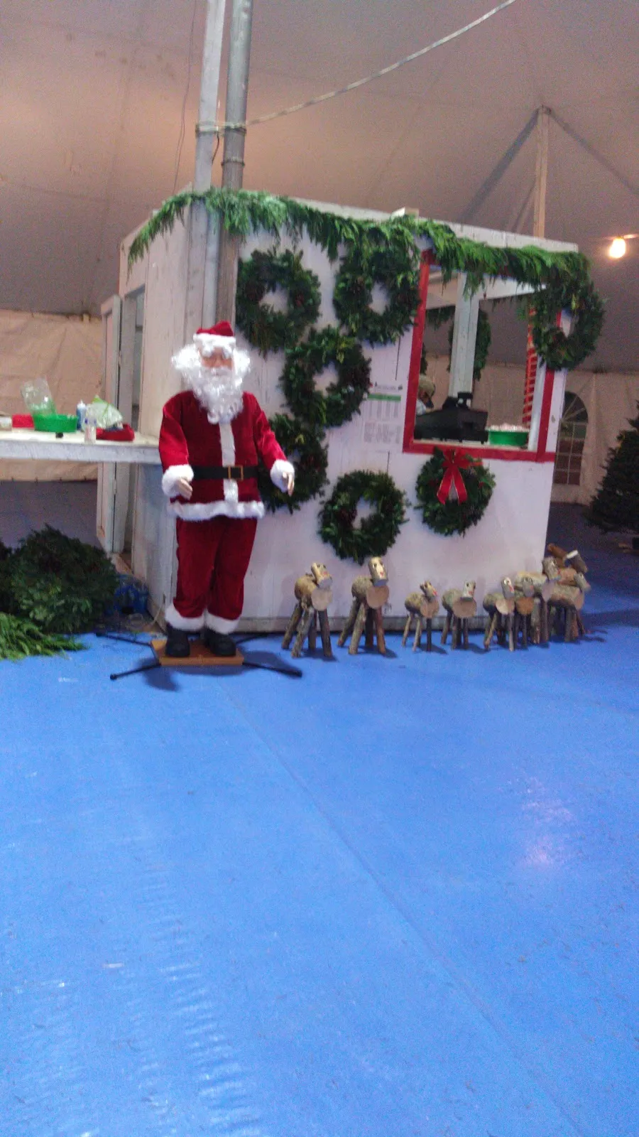 Premium Harvesting & Packing