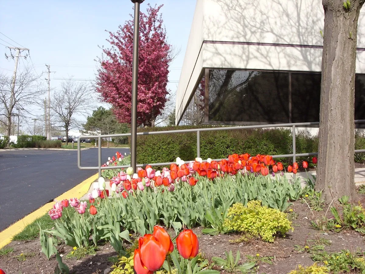 Quality Staffing USA