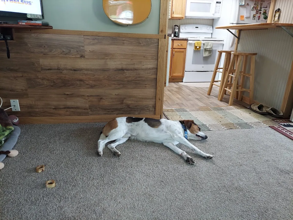 Randstad – photo 3