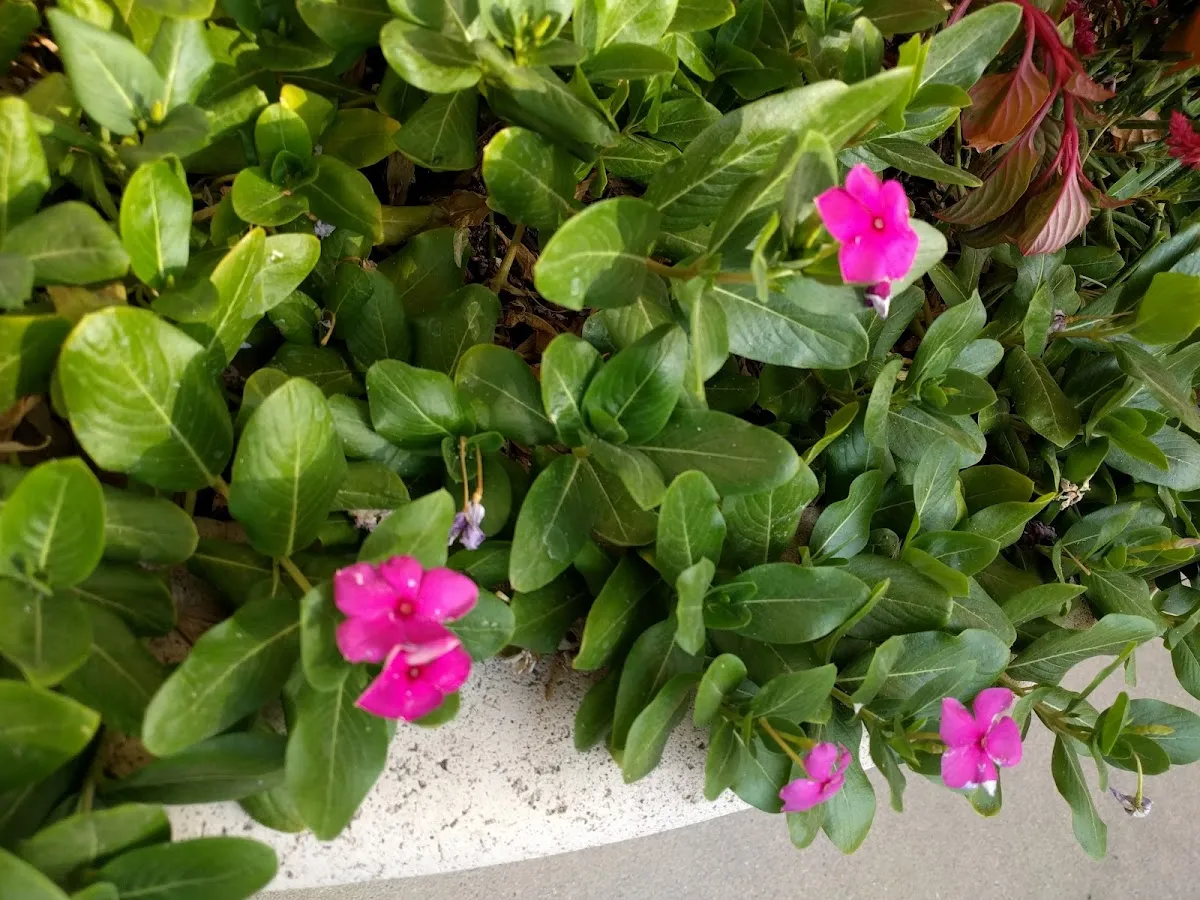 Robert Half – photo 3