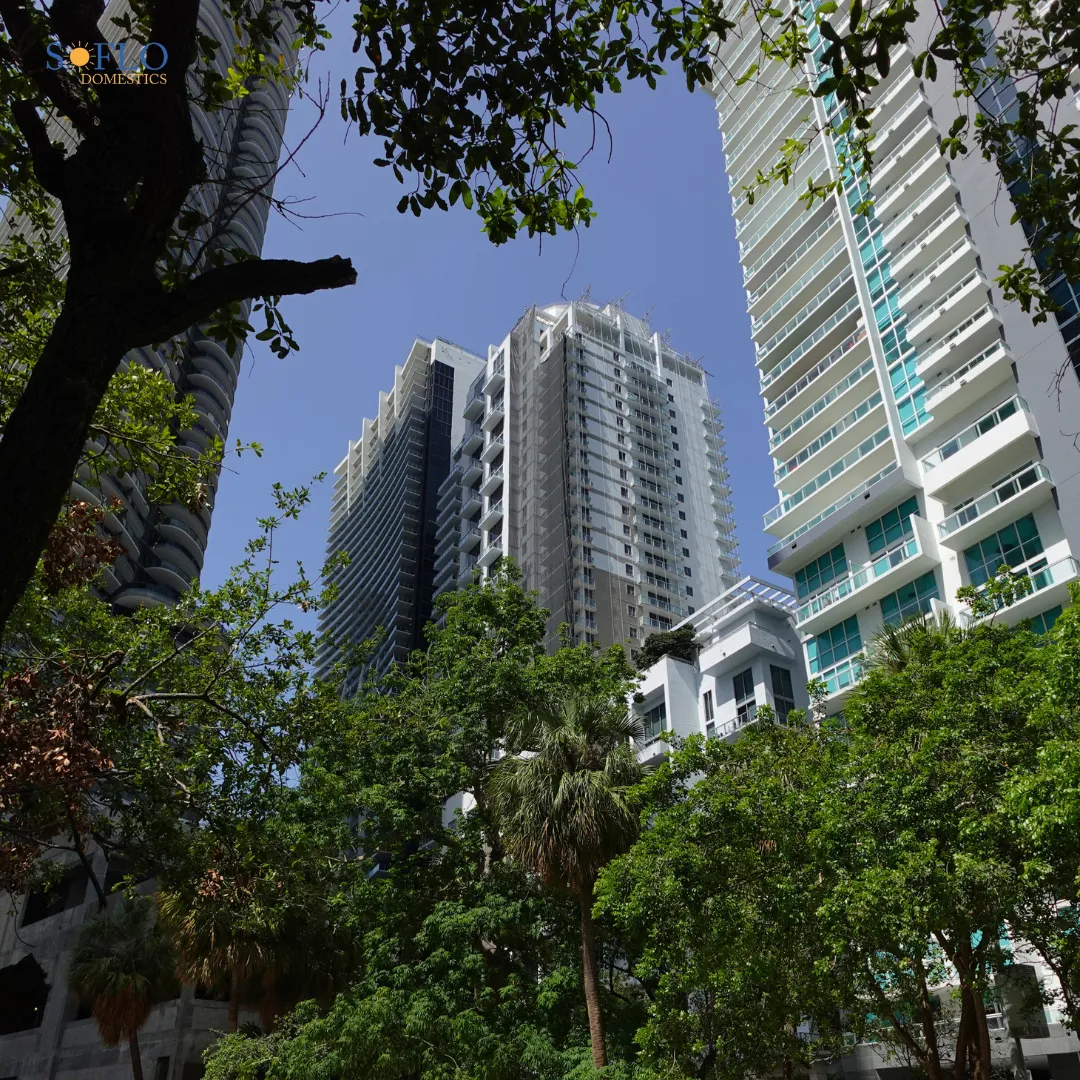 SOFLO Domestics – photo 2