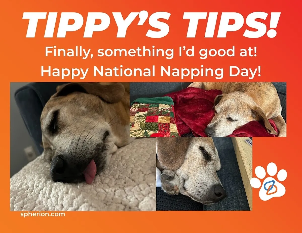 Spherion Staffing & Recruiting