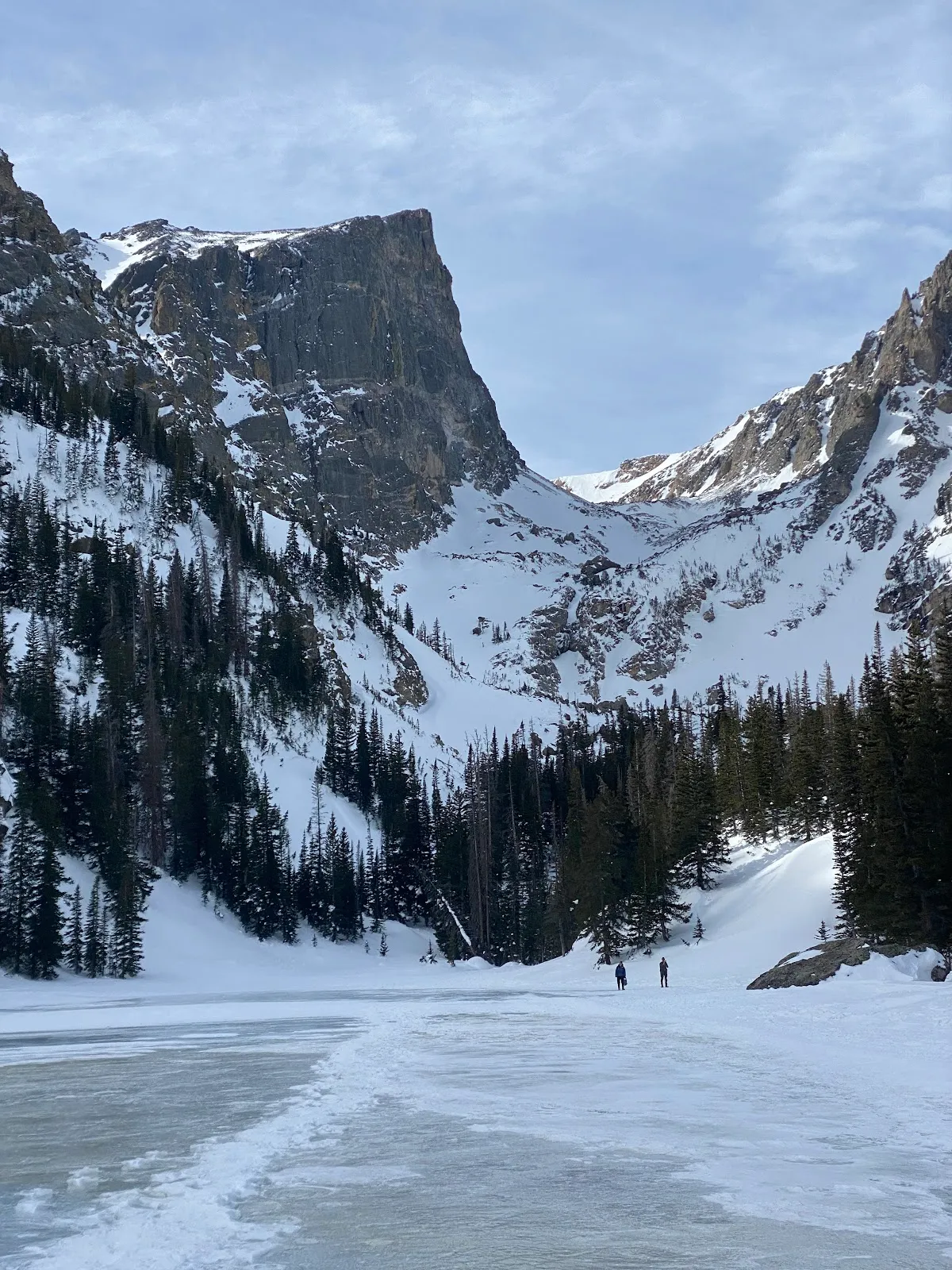 Stability Healthcare – photo 2