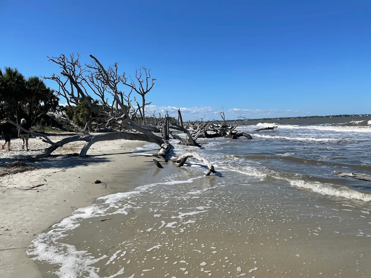 Stability Healthcare – photo 3