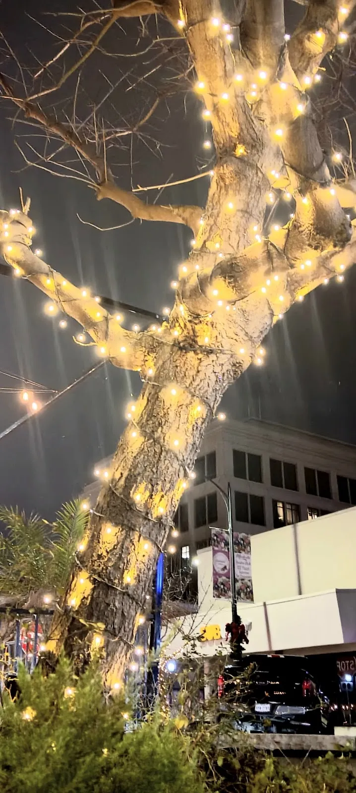 Stanislaus County Community Services Agency – photo 3