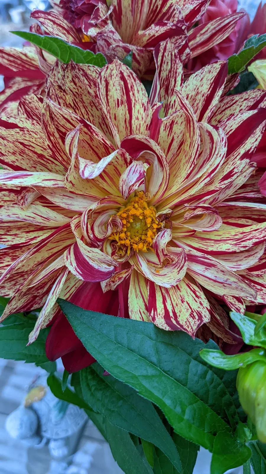 Supported Employment Services