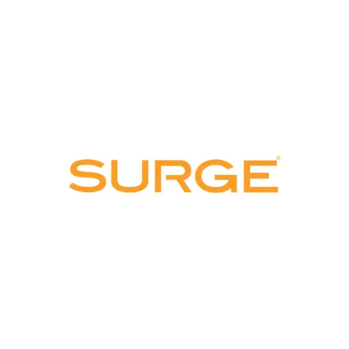 SURGE Staffing – photo 2