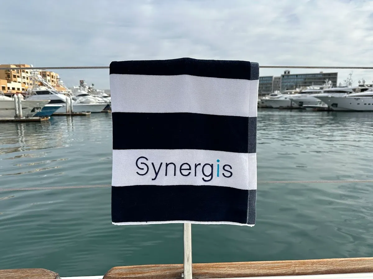 Synergis – photo 2