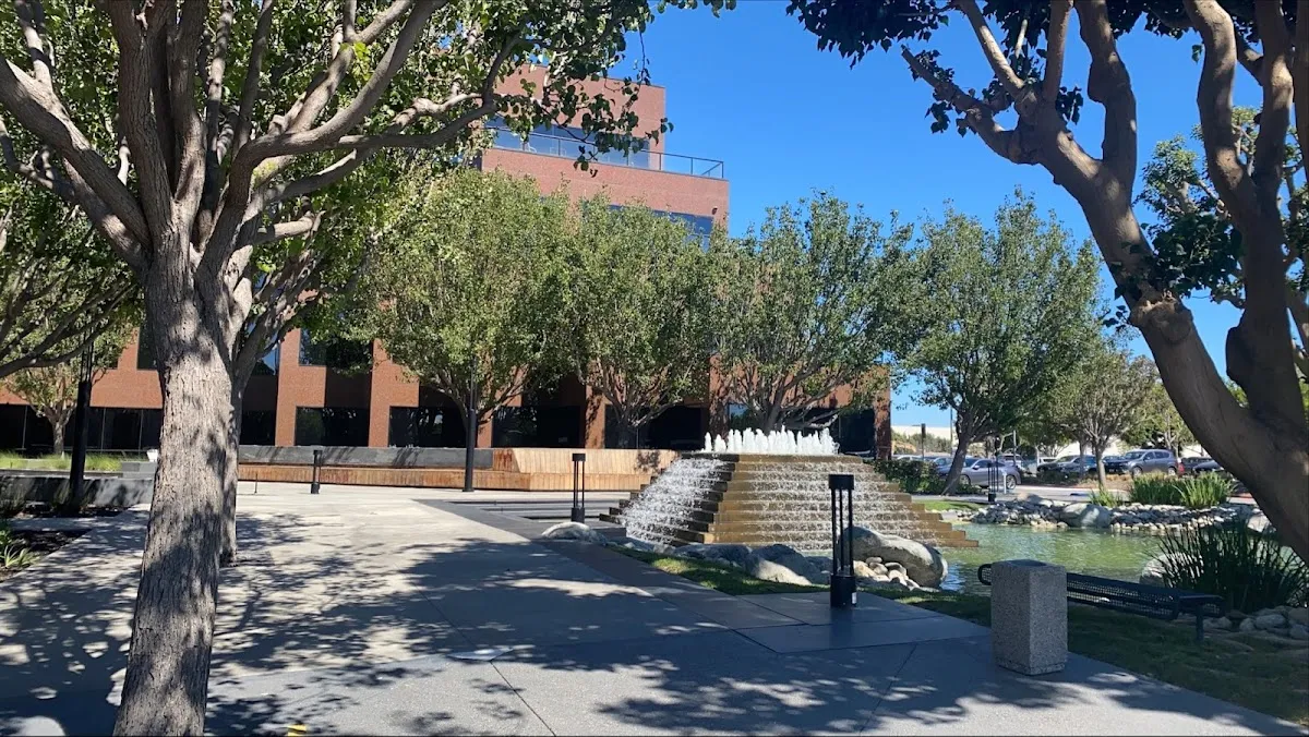 TalentZok – photo 2