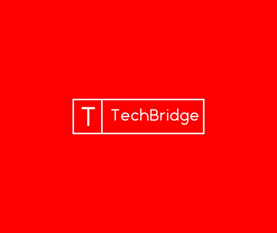 TechBridge Inc.