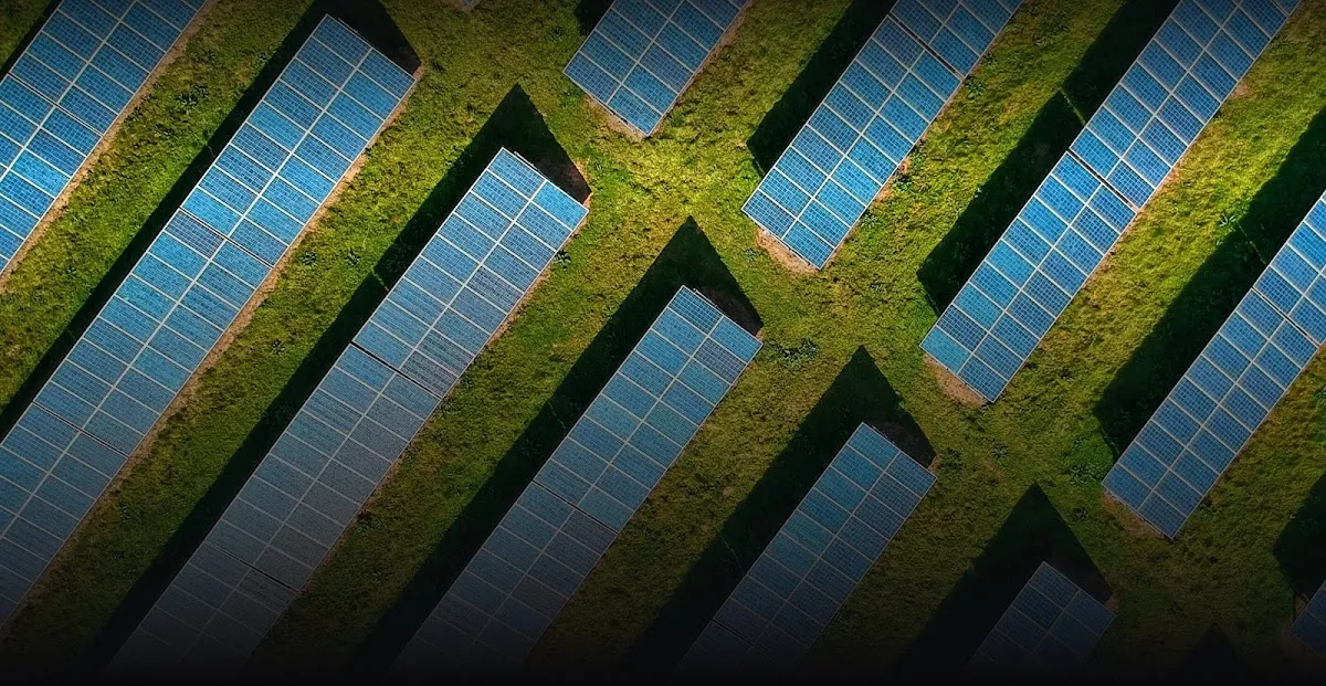 The Global Edge Consultants