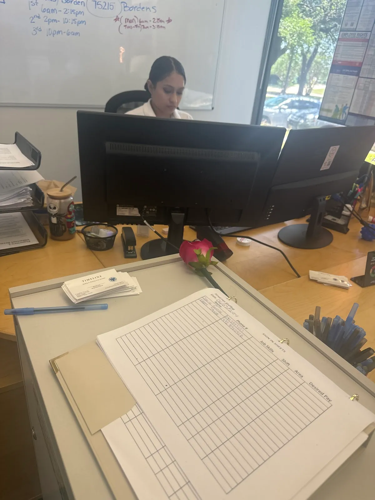 TimeLine Staffing, LLC