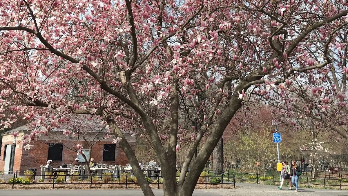 Tiny Treasures Nanny and Household Staffing Agency