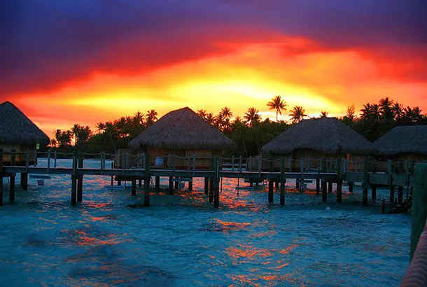 Travel Placement Service – photo 2