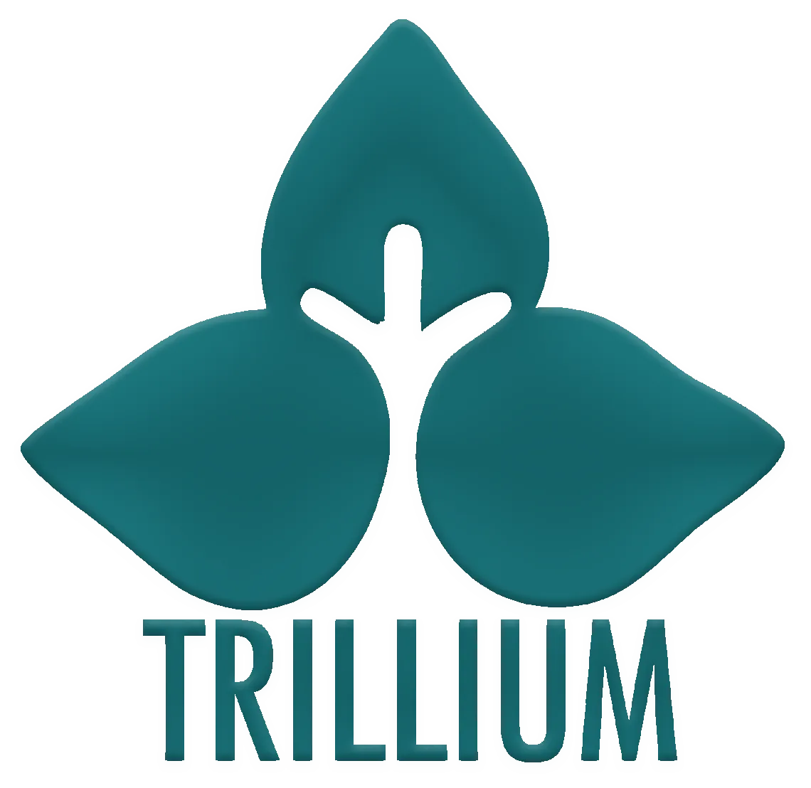 TRILLIUM Employment Services
