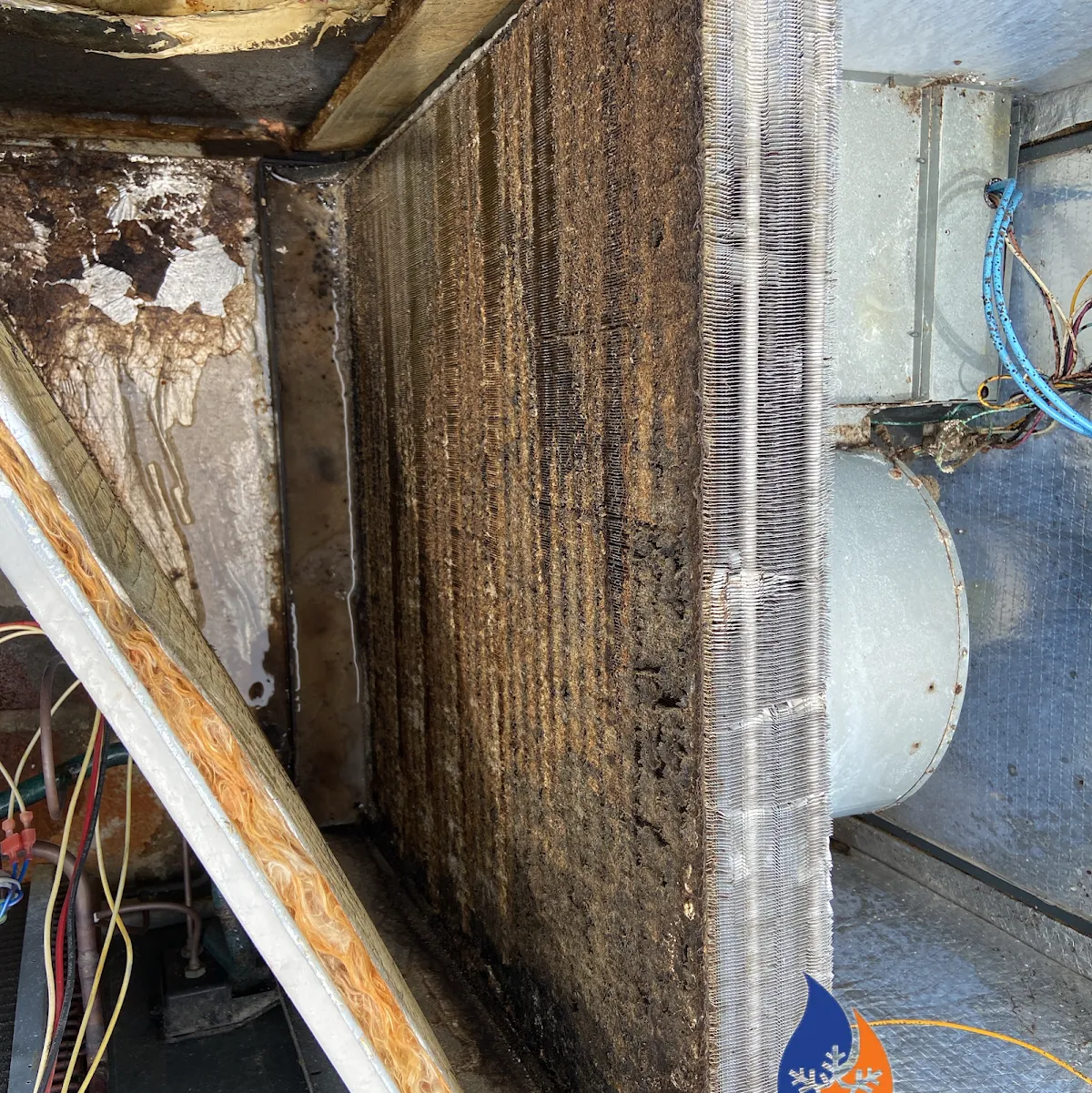 True Temp LLC – photo 3