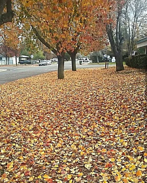 United Staffing Associates – photo 2