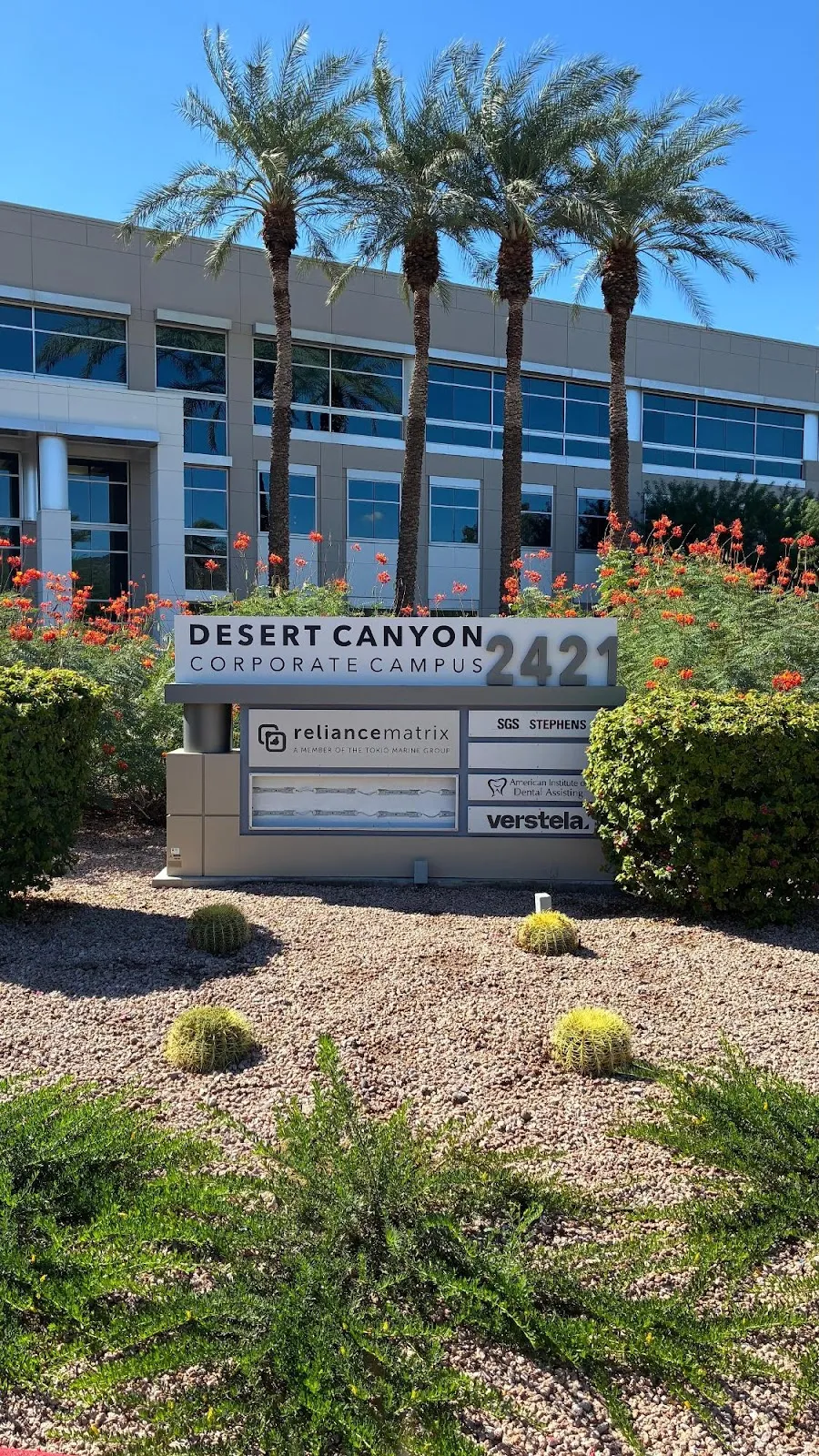 Verstela – photo 2