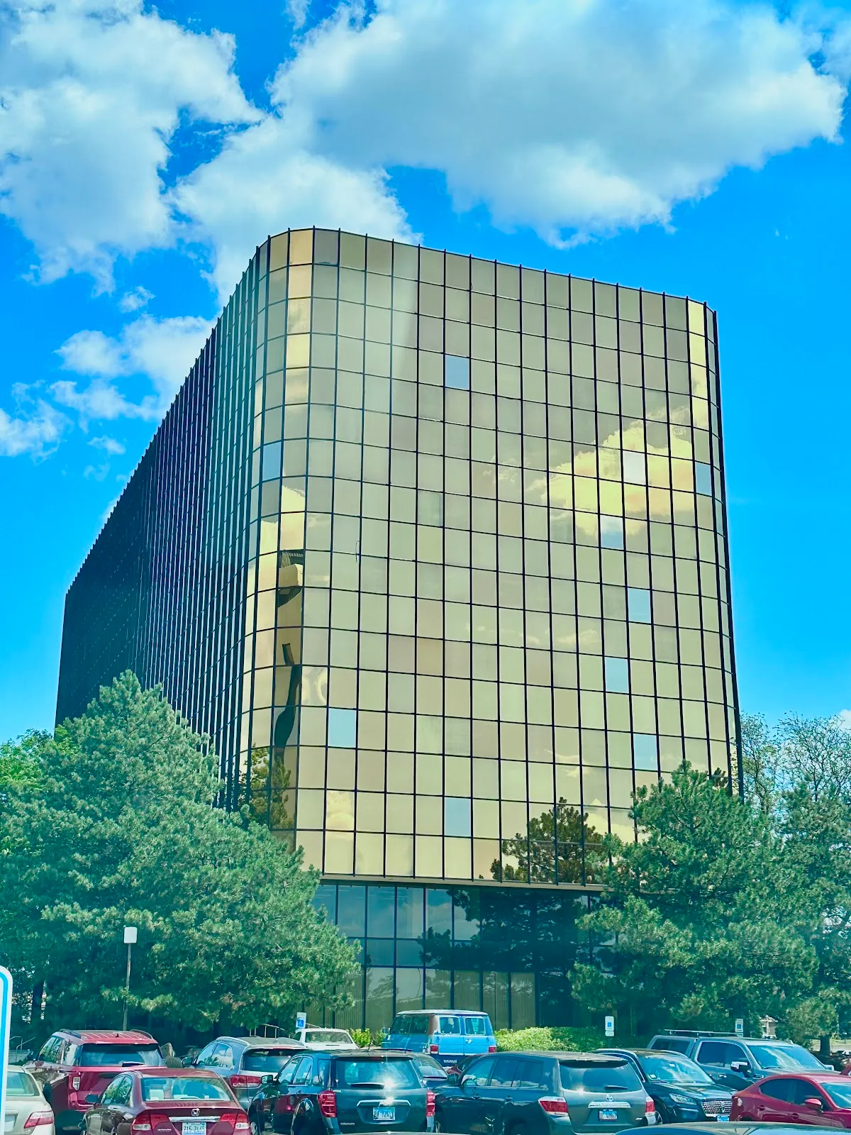 VIVA USA Inc – photo 2