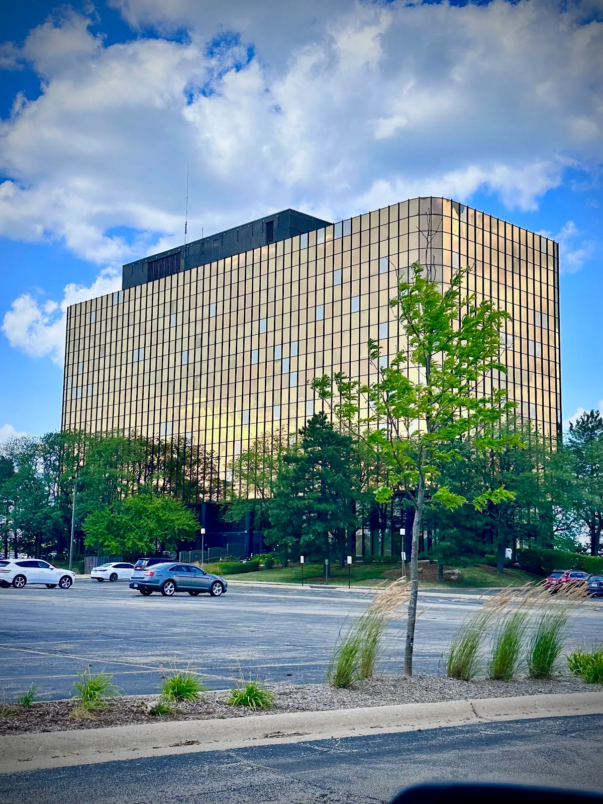 VIVA USA Inc – photo 3