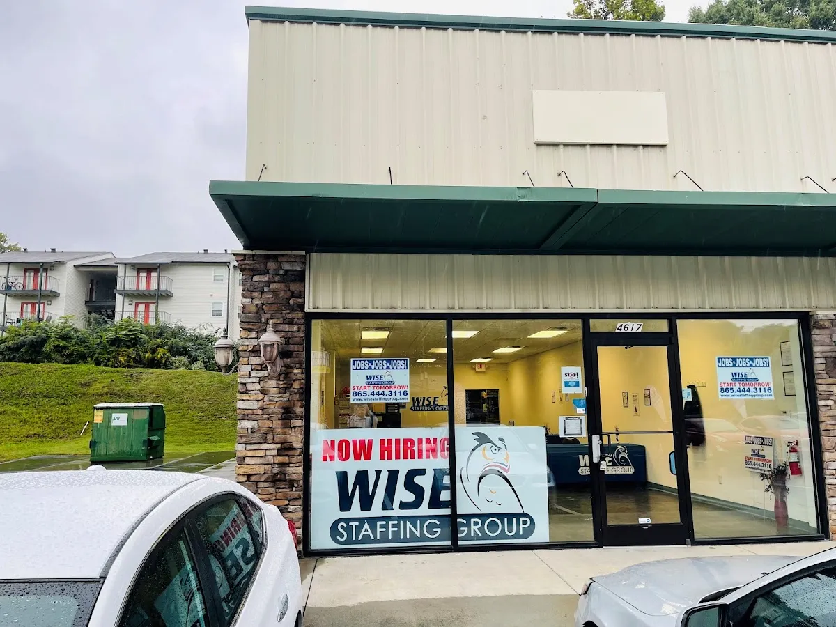 Wise Staffing Group