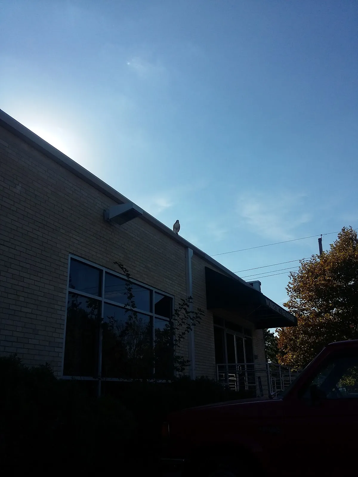 Workforce Partnership – photo 3